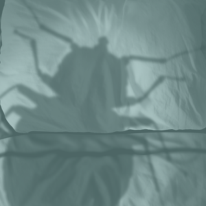 Team Page: MoveIner Care Fund